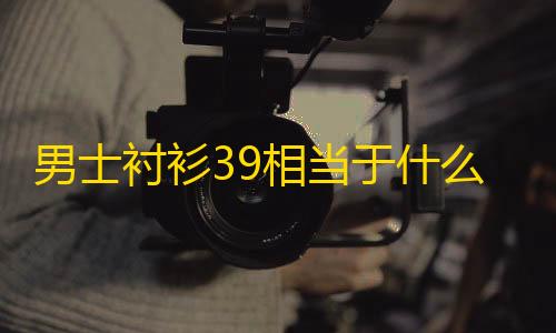 竞速外挂技术方案男士衬衫39相当于什么尺码