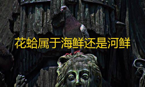 超凡先锋直装科技免费花蛤属于海鲜还是河鲜